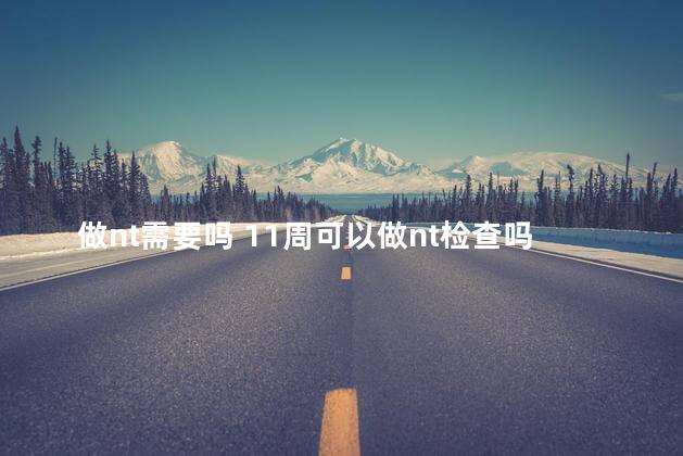 做nt需要吗 11周可以做nt检查吗